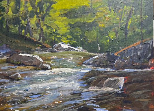 Summer Stream  *** NEW PICTURES ADDED ***