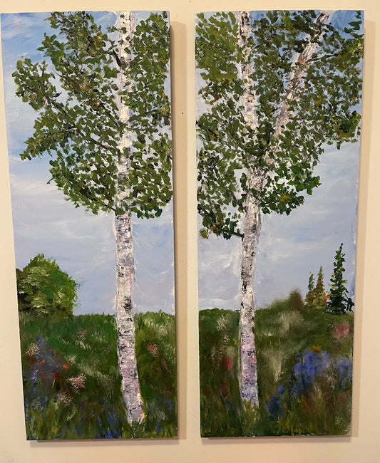 Summer birch trees